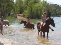 Tourisme Equestre, gite d'étape, pensions, stages, élevage